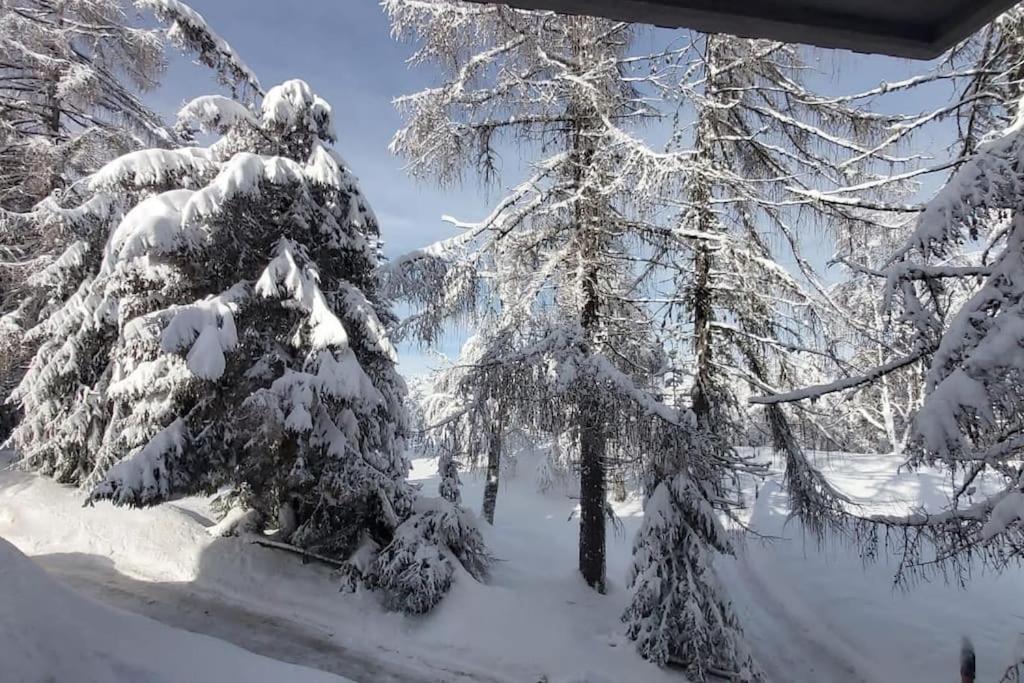 Trento, Monte Bondone, Casa Tipica Di Montagna Apartment Norge ภายนอก รูปภาพ