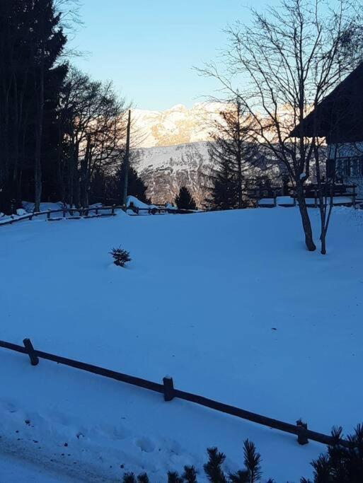 Trento, Monte Bondone, Casa Tipica Di Montagna Apartment Norge ภายนอก รูปภาพ